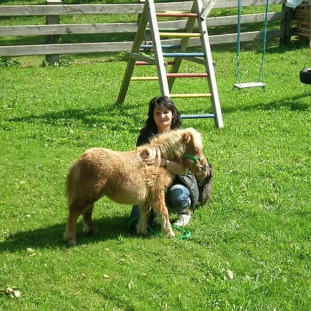 Kollerhof Апартаменты