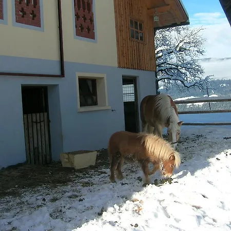 Kollerhof *