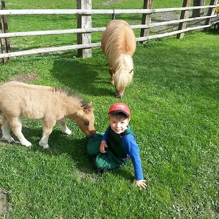 Kollerhof Апартаменты