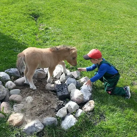 Апартаменты Kollerhof *