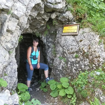 Kollerhof *