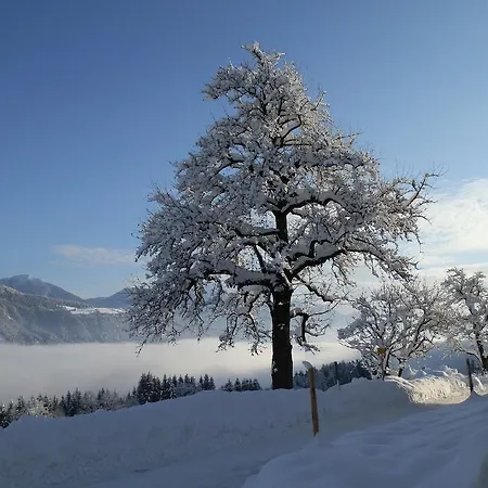 Апартаменты Kollerhof *