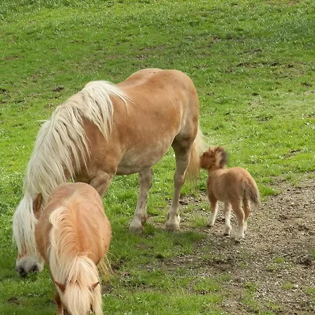 Апартаменты Kollerhof