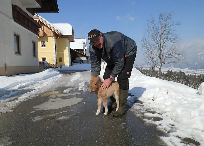 Kollerhof * 斯拉泽